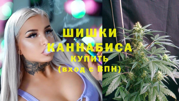 мяу мяу мука Богданович
