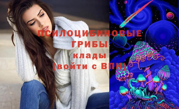 мяу мяу мука Богданович