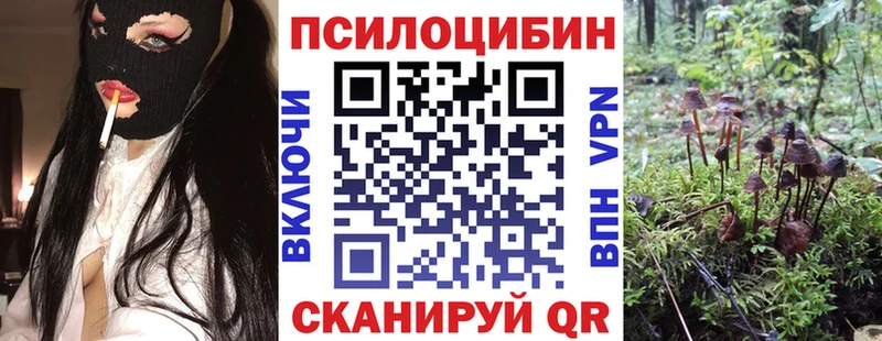 Псилоцибиновые грибы мухоморы  маркетплейс официальный сайт  Новороссийск 